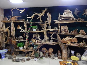 雙鴨山市第八屆工藝美術創新作品暨旅游紀念品展銷會隆重開幕，本土工藝精品薈萃展風采